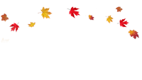 fall leaves flying in the air on a black background